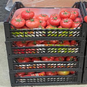  Fruit Et Légume Import De Turquie - fruits et légumes bonjour --nous sommes une entreprise place en turquie --sur la r&eacute;gion de bursa et antalya --nous sommes une entreprise base sur l alimentation frais saisonnier --nous sommes  une entreprise  qui cherche les meilleur fruits et l&eacute;gumes sur tout le pays et transportons.