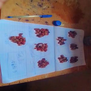  Rubis Saphirs Et Pierres Précieuses Brute - pierre roche je suis actuellement &agrave; la recherche d'un partenaire ou d'un client pour la vente &agrave; long terme de mes pierres pr&eacute;cieuses comprenant des rubis des saphirs et des &eacute;meraudes bruts ainsi que d'autres pierres telles que le diamant et l'or &agrave; l'avenir. je suis un pr