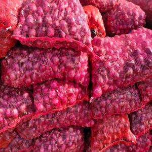  Vente D'oignon - fruits et légumes offre sp&eacute;ciale sur nos sacs d'oignons ! qualit&eacute; sup&eacute;rieure fra&icirc;cheur garantie format pratique sacs de 25 kilos id&eacute;als pour tous vos besoins prix comp&eacute;titif seulement 7000 fcfa par sac contactez nous pour plus d'informations ou pour passer commande ! 