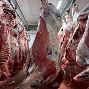  Viande De Bœuf En Carcasse - viandes et oeufs viande bovine en carcasse avec certification --poids 360-400kg --origine - espagne --race - charolais-limousin --livraison en europe et exportation possible --merci de preciser la quantité ainsi que la ville de livraison afin de vous transmettre un devis --cordialement 