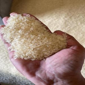  Buying Rice - cereals i am an importer.i look for a good quality rice to import it to libya.i need big quantity per month.just contact me here or via whatsapp