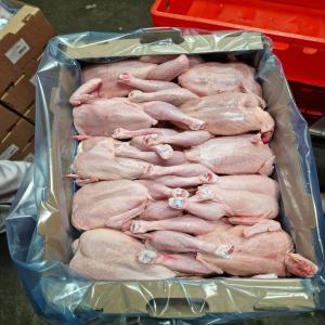  Poulet Halal Congeler( Baby Ciken) - viandes et oeufs bonjour je cherche des client pour poulet halal ( baby ciken) poid entre 1 kg i 1, 300 kg--emballage en wrag en carton ,  10 piece dan's le carton ,  40 carton dans la pallette--