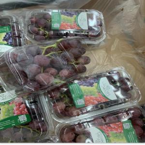  Raisin - fruits et légumes salut tout le monde,  nous disposons en grande quantité des fruits de raisin d'origine égyptien pour toute vos besoins d'achat en fob ou cif veuillez nous laisser un message ou nous contacter directement par whatsapp... merci pour votre compréhension 