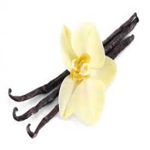  Vanille Gourmet De Madagascar - épices aromates vanille pr&eacute;par&eacute;e de l'exportation 2024 conforme aux normes de qualit&eacute;s ue afnor et pass&eacute; avec succ&egrave;s la s&eacute;rie d'analyses physicochimique et microbiologique. c'est notre vanille gourmet non fendue la meilleure gousse enti&egrave;res de vanille de madagasca