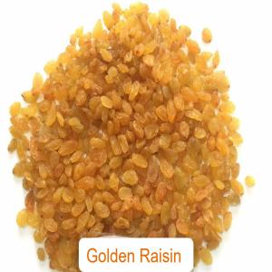  Dry Raisin Golden - roasted seeds and nuts we are pleased to offer premium dry golden raisins for sale. carefully selected and sun-dried to perfection,  our golden raisins are rich in flavor and nutrients,  making them ideal for your culinary creations and health products. elevate your produce and products with our high-quality dry golden rais