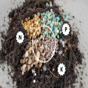 Fourniture D'engrais Npk Et Blé De Consommation - chimie additif engrais nous sommes ravis d'annoncer que notre société,  spécialisée dans la fourniture de produits agricoles de haute qualité,  est prete à répondre à vos besoins en engrais et en blé de consommation. nos produits incluent ------ engrais hydrosol