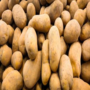  Pomme De Terre - fruits et légumes nous cherchons des pommes de terre fritables pour un de nos clients en france.. que pouvez vous nous proposer ? 