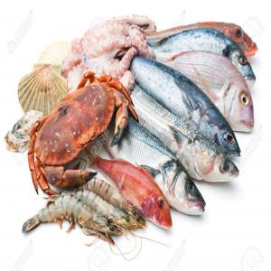  Fruit De Mer - poissons bonjour on dispose une large variété des fruits de mer. dorade,  manani,  chevrette,  thon,  etc. ces  fruits contient de nombreux nutriments nécessaires à un corps sain.--pour plus d'informations,  contactez-nous par e-mail ou whatsapp.