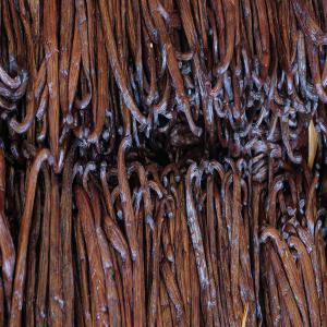  Découvrez La Meilleure Vanille De Madagascar - épices aromates  l'essence de l'authenticité malgache----plongez dans l'univers enivrant de la vanille malgache avec **la vanille madagascar**,  une référence incontournable dans le domaine. nichée au cœur de la région de la sava,  notre entreprise,  une filiale de la soci&eacu