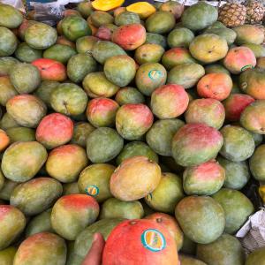  Mangue Kent - fruits et légumes  ch&egrave;re tous nous avions le plaisirs de vous propose la mangue kent du s&eacute;n&eacute;gal a des prix comp&eacute;titif; 