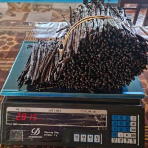  Madagascar Bourbon Vanilla Beans - aromatic spices we supply madagascar black vanilla pods from the sava region north east of madagascar with good qualities you can contact us to place an order or you need a few quantities as samples to start our relationship. we are entirely available on whatsapp or by the email address for more information. our