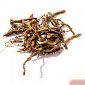  Racine De Punarnava (boerhavia Diffusa) - autres nous proposons de la racine de punarnava,  connue sous le nom scientifique,  un ingrédient ayurvédique aux propriétés diurétiques reconnues. idéale pour les entreprises spécialisées dans les produits de bien-etre et de santé naturelle,  not