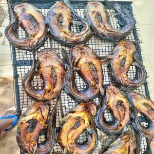  Ventes De Poissons Chat (silures) Fumés - poissons bonjour !--nous recherchons des &eacute;ventuels acheteurs tel que des centres commerciaux,  personnes physiques et m&eacute;nage de nos poissons chats (silures) fum&eacute;s. c'est poisson sont emball&eacute;s en paquet. pour plus de d&eacute;tails veuillez nous contacter ! merci --