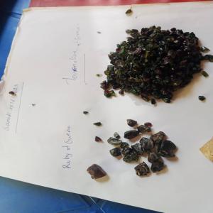  Facilitateur De Pierre Précieuse Et D'autres - Industrie exploitation hello,  it's steve,  i'm in the drc,  i'm looking for buyers of gold,  troumalines,  emeralds,  coltans,  copper,  industrial white mercury,  natural red mercury,  garnets,  crystal stones,  iranuim,  celesuim etc... we are in the drc