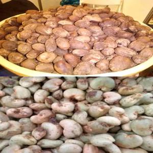  Produits Tropicaux, Investissement, - autres nous sommes une entreprise basée au bénin ,  plus précisément dans le nord bénin, qui souhaite trouver des partenaires pouvant mettre à notre disposition de fonds nécessaires pour l'achat de produits tropicaux (mais, soja,  karité, cajou, riz). nous 