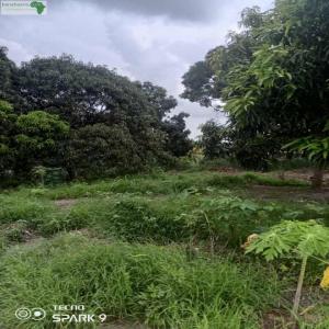  Bloc De 10 Parcelles Vendre - mine terrain concession   garder l'argent en banque ne rends pas riche ,  c'est en investissant qu'on parviens a s'enrichir  --voici un bloc de 10 parcelles jumelees a vendre au coeur du quartier nanga ,  dans un secteur accessible - la zone de nanga est une zone en pleine mutation ,  cela vous permet d'entreprendre des diffe