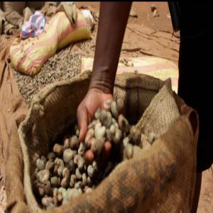  Premium Cashew Nuts For Sale (cajou) - roasted seeds and nuts  elevate your business with our top quality cashew nuts meticulously processed and ready to meet your highest standards. specifications    cultivation type common processing type well dried raw cashew nuts certification sgs nuts count 160 to 180 per kg outturn 47 