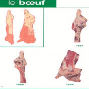  Togo Retraité Cadre Viande - viandes et oeufs retrait&eacute; cadre fran&ccedil;ais de la fili&egrave;re b&eacute;tail & viande en bovin ovins porcs 10 ans d'exp&eacute;rience en afrique chercherai &agrave; apporter son savoir faire dans cette fili&egrave;re  &eacute;levage b&eacute;tail & viande que si bien structur&eacute; &agrave; une 