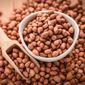  Arachide Type 73 - céréales salut. je suis courtier en agriculture et je veux un fournisseur s&eacute;rieux bas&eacute; au s&eacute;n&eacute;gal d'arachide type 73 . pour que je puisse promouvoir ses produits aupr&egrave;s des clients potentiels.  si vous poss&eacute;dez une grosse quantit&eacute; &agrave; un prix abordable co