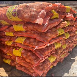  Oignons Rouges Et Takahe Toujours Disponibles - fruits et légumes vous recherchez des oignons en gros d'exception ? ne cherchez plus,  nous avons ce qu'il vous faut ! nous sommes une équipe jeune,  sérieux et dynamiques. ----découvrez nos variétés ---- oignons takahe --- oignons rouges intenses--- oignons blancs délicats----