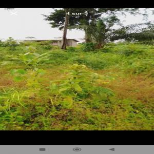  Terrain Titré De Hectares Vendre Kribi - mine terrain concession terrain titré de 20.000 m2,  disponible à vendre à kribi.--le site est sec et plat; il est situé à 2 kilomètres du port autonome de kribi,  et à  100 mètres de la route principale.--prix - 20.000 fcfa le mètre carré.--toute personne
