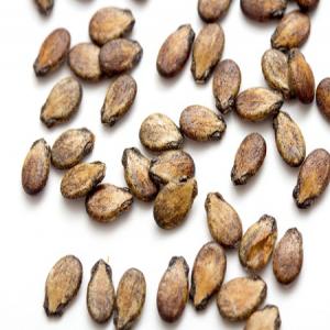  Grains De Pastèque Secs - fruits secs et graines grillées je suis au sénégal et j'ai besoin d'un fournisseur de grains de pastèque sec pour mon gars en côte d'ivoire qui à besoin 500 tonnes.   envoyez moi un email. je saisirez le premier meilleur ofrre 