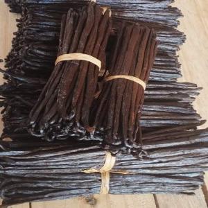  Vanilla Beans Exporter From Madagascar - aromatic spices we export madagascar black vanilla pods from the sava region north east of madagascar with good qualities you can contact us to place an order or you need a few quantities as samples to start our relationship. we are entirely available on whatsapp or by the email address for more information. our