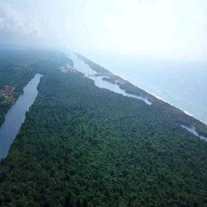  Je Vends Des Forêts - autres je dispose des terrains déjà en production donc les personnes souhaitent mettre en garantie et d'autres veulent vendre --pour les interressé veillez me contacter par whatsapp----les terrains par de 7 à 30 hectares 