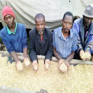  Recherche D'un Partenaire Financier - café cacao thé investissez dans l usine de café soluble à goma - forte rentabilité,  impact local et marché en expansion