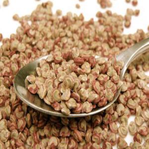  Graines De Figue De Barbarie Madagascar - huiles bonjour, ----nous cherchons en provenance de madagascar un fournisseur  de  graines de figue de barbarie bio--ayant l experience dans l''export ,  afin d'importer au maroc----