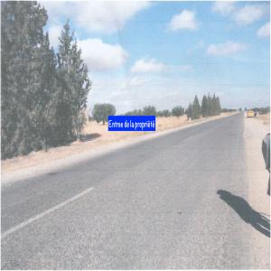 Vente Terrain Agro-industriel En Tunisie - mine terrain concession opportunité d'investissement en tunisie,  situé en bordure d'axe routier fréquenté c81 qui relie sfax à kairouan. investir dans un terrain agricole au coeur d’un village en plein expansion offre de nombreux bénéfices. c'est un actif durable,  stable et 