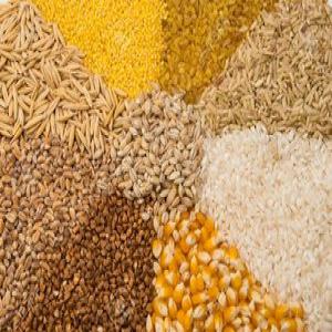  Fournisseur De Céréales - céréales nous vous proposons de multiples c&eacute;r&eacute;ales 1. bl&eacute; 2. maïs 3. farine pour plus de renseignements n'h&eacute;sitez pas &agrave; consulter notre site internetl'ouest (s&eacute;n&eacute;gal cote d'ivoire mali etc) et l'afrique centrale (cameroun congo etc). le tar