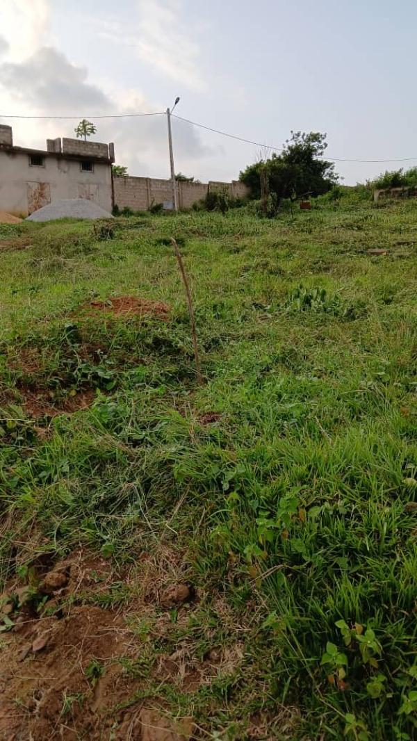  Vente De Terrain Nu - mine terrain concession bonjour nous avons des terrain nu en vente en cote d'ivoire presisement a abidjan,  alepe et dans la zone de bassame moame ;(moame 40hectar avec acd cite baneaire 500m2 a 15 millions )200hectar acd a abidjan songon avec acd 35mille fca le m2 et afin alepe 3mille hectar avec aprobation signe par le ma