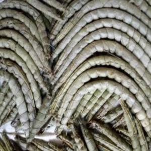  Bâton De Manioc - autres bonjour, --nous vendons des bâtons de manioc en provenance du cameroun si vous etes intéressé contactez nous .