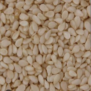  Achat Graine De Sésame Blanc - céréales nous recherchons un fournisseur de la graine de s&eacute;same blanc en contrat revolving de 3000 a 5000 tonnes avec un trial de 700tonne.
