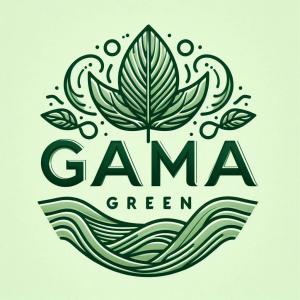  Moringa - épices aromates --la moringa,  également connue sous le nom d' arbre de vie  ou  arbre à tambour ,  est une plante naturelle dont le nom scientifique est moringa oleifera. cet arbre est originaire des régions tropicales et subtropicales d'asie,  d'afrique et d'amérique du sud. la moringa es
