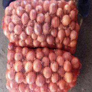  Oignons Blancs Et Rouges +21693228320 Whats - fruits et légumes  prix competitive nous sommes heureux de vous annoncer la disponibilit&eacute; de notre gamme d'oignons blancs et rouges de tous calibres pour le march&eacute; africain. nos oignons sont soigneusement cultiv&eacute;s et s&eacute;lectionn&eacute;s pour garantir une qualit&eacute; exceptionnelle. 