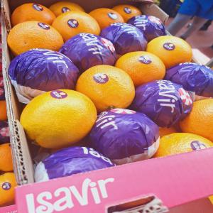  Oranges Valencia +21693228320 - fruits et légumes nous avons le plaisir de vous proposer des oranges valencia de haute qualit&eacute; pretes &agrave; etre exp&eacute;di&eacute;es. voici les d&eacute;tails de notre offre produit oranges valencia conditionnement 117 bo&icirc;tes de 10 kg par palette quantit&eacute; par camion 21 palettes 