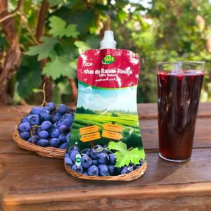  Jus De Fruit 100% Naturel - boissons non alcolisée jus de fruit 100% naturel dans des pochettes aseptis&eacute;es d&eacute;licieux et disponible contenance 200ml fruits disponibles (orange raisin fraise mangue peche et tropical)