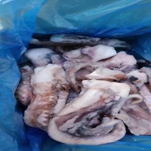  Poisson Congele' - poissons bonjour,  j'ai toutes les type de poissons pour le marche' europeen et africain,  en grande quantite' et tres bonne qualite' a' prix competitif. je cherche des nouveaux clients pour des collaborations serieuse,  fiables et  longues. je suis disponible,  merci