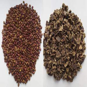  Pulpe De Caroube, Graine De Caroube - fruits secs et graines grillées entreprise de transformation de la caroube,  nous mettons &agrave; votre disposition pulpe de caroube concass&eacute;e et graine de caroube.--quantit&eacute;/prix n&eacute;gociable.