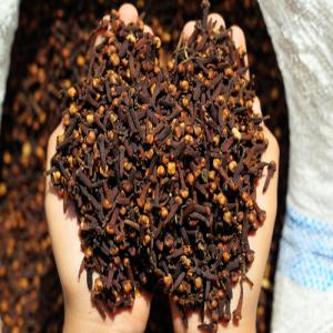  Vente Clous De Girofle De Madagascar - épices aromates bonjour,  je suis--un producteur de--vanille,  girofle et cannelle et je--suis à recherche de partenaire a long terme.--découvrez les clous de girofle de madagascar,  réputés pour leur qualité exceptionnelle. en tant que fournisseur local,  nous garantissons des produi