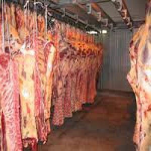  Togo Professionnel Bétail Viande - viandes et oeufs retrait&eacute; cadre fran&ccedil;ais de la fili&egrave;re b&eacute;tail & viande en bovin ovins porcs 10 ans d'exp&eacute;rience en afrique chercherai &agrave; apporter son savoir faire dans cette fili&egrave;re &eacute;levage b&eacute;tail & viande que si bien structur&eacute; &agrave; une 