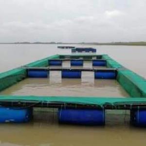 Recherche D'investisseurs - capital investment investing in fish farming is a profitable and essential activity for our countries in africa in view of the quantity of tonnes of frozen fish that our countries import each year,  sometimes tested not in conformity with consumption.---- any investor wanting to make income should be interested in this