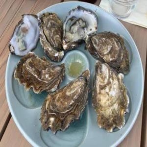  Partenaires Export Huitre - coquillage crustacé nous recherchons des partenaires à l'international pour partager la richesse de nos huîtres. rejoignez-nous et offrez à vos clients une expérience culinaire inoubliable. --pourquoi choisir nos huîtres ?--qualité supérieure - issues d'un environnement na