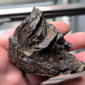  Vente De Bois D'agar Huile (oud) Kynam - matiere vegetale nous sommes une entreprise bas&eacute;e en france et nous commercialisons du bois d'agar sauvage de l'huile essentielle de bois d'agar (oud) de haute qualit&eacute; ainsi que du kynam sauvage (calambac)--- chips pour l'encens,  pi&egrave;ce solides,  bracelets,  huile essentielle extraite &agrave; la v