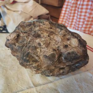  Expertise Achat Vente D'ambre Gris - épices aromates nous sommes experts dans l'ambre gris en europe et achetons toutes qualités (noir,  marron,  gris,  blanc) et quantités d'ambre gris de cachalot,  toutes provenances.--si vous pensez avoir trouvé un ou plusieurs morceaux d'ambre gris,  envoyez nous une photo (claire à la lumi&