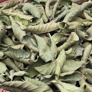  Feuilles Séchées De Goyavier. - fruits secs et graines grillées hellooo. bonjour à tous. je suis à la recherche d'un fournisseur local ivoirien de feuilles séchées de goyavier. de très bonne qualité pour transformation. sentez-vous libre de me contacter si er seulement si vous avez le produit recherché à di
