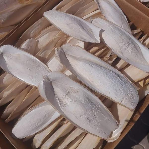  Os De Seiche - aliments pour animaux salut &agrave; tous nous sommes une entreprise professionnelle nous proc&eacute;dons au s&eacute;chage des os de seiche et les vendons et exportons &agrave; l'international au meilleur prix. pour plus d'informations contactez moi.  