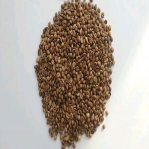  38 Tonnes De Café Vert Robusta Grade - café cacao thé bonjour, ----nous proposons notre café vert robusta grade 2 en provenance de madagascar,  production 2024 contrairement à beaucoup !----notre tarif est ultra compétitif un café vert de qualité à un prix très interessant !----3600 euros la tonne si vous 